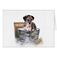 You can't be serious? greeting cards