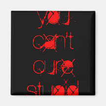 You Can't Cure Stupid Magnet