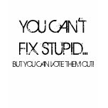 YOU CAN'T FIX STUPID..., BUT YOU CAN VOTE THEM ... t-shirts