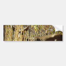 "You Can't See Me" Hidden Doe Bumper Sticker