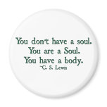 You don't have a soul, you are a soul fridge magnet