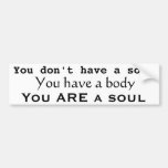 You don't have a soul You have a body bumper stickers