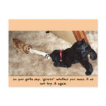 you gotta say "grrrrr" post cards
