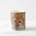 You had me at meow! mug
