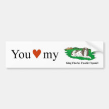 You heart my cavalier bumper stickers