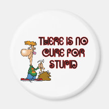 You Just Can't Cure Stupid Magnet