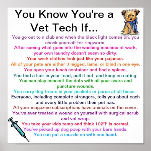 You Know You're a Vet Tech If... Posters