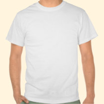 ...You Mess with the Whole Trailer Park t-shirts
