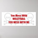 You Mess With Volleyball You Mess With Me posters