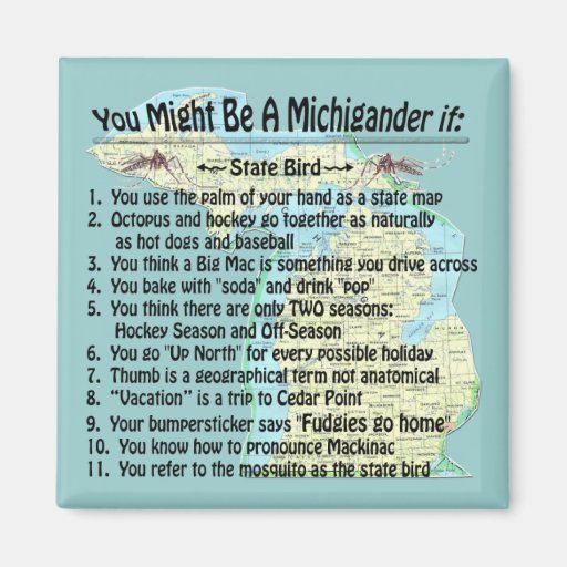 You Might Be A Michigander If: Refrigerator Magnets