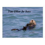 You Otter be here Post Card