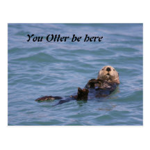 You Otter be here Post Card