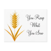 You Reap What You Sow Wheat Postcard