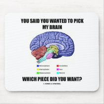 You Said You Wanted To Pick My Brain (Anatomy)