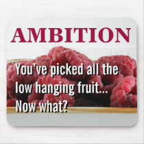 You seem to have no ambition in life