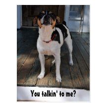 You talkin' to me? post cards