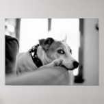 You Talkin' To Me? Print