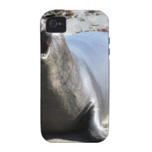 You talking to me Case-Mate iPhone 4 covers