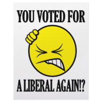 You voted for a liberal again!?