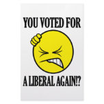You voted for a liberal again!?
