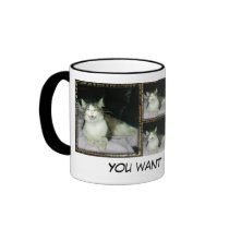 You want WHAT?! Coffee Mug