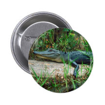 Young Alligator Button