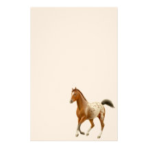 Young Appaloosa Horse Stationery
