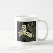 Young barn-owls, 9 weeks old coffee mugs