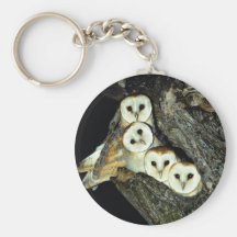 Young barn-owls, 9 weeks old keychain