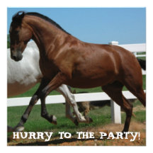 YOUNG BAY ANDALUSIAN INVITATION