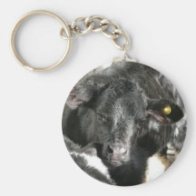 Young Black Heifer Calf Keychain