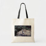 Young Brown Pelican in Nest Tote Bags