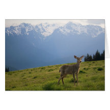 Young Buck and Mt. Olympus Peaks Greeting Card