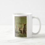 Young Cheetah Group Coffee Mugs