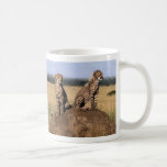 Young Cheetahs Mug