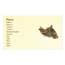 Young Eastern Garter Snake Business Card