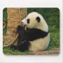 Young giant panda. mouse mats