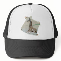 Young Giraffe at Rest Hat