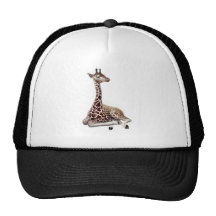 Young Giraffe at Rest Hats