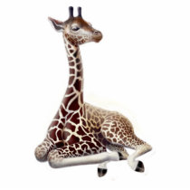 Young Giraffe Holiday Ornament Photo Sculpture
