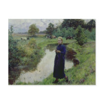 Young Girl in the Fields, Postcards