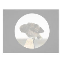 Young Great horned owl Personalized Announcement