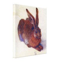 Young Hare by Albrecht Dürer