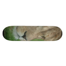 Young Lion Skateboard