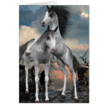 Young Mares Playing Greeting Cards