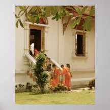 Young Monks Thailand Poster