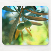 Young Olive On A Branch Mouse Pad