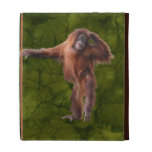 Young Orangutan Wildlife iPad Folio Case