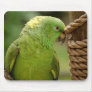 young parrot mouse pad