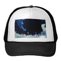 Young Peregrine Falcon Mesh Hats